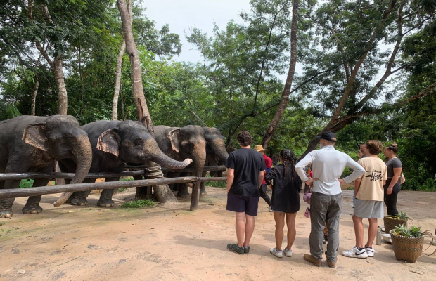 kulen Elephant Forest by Private Tour